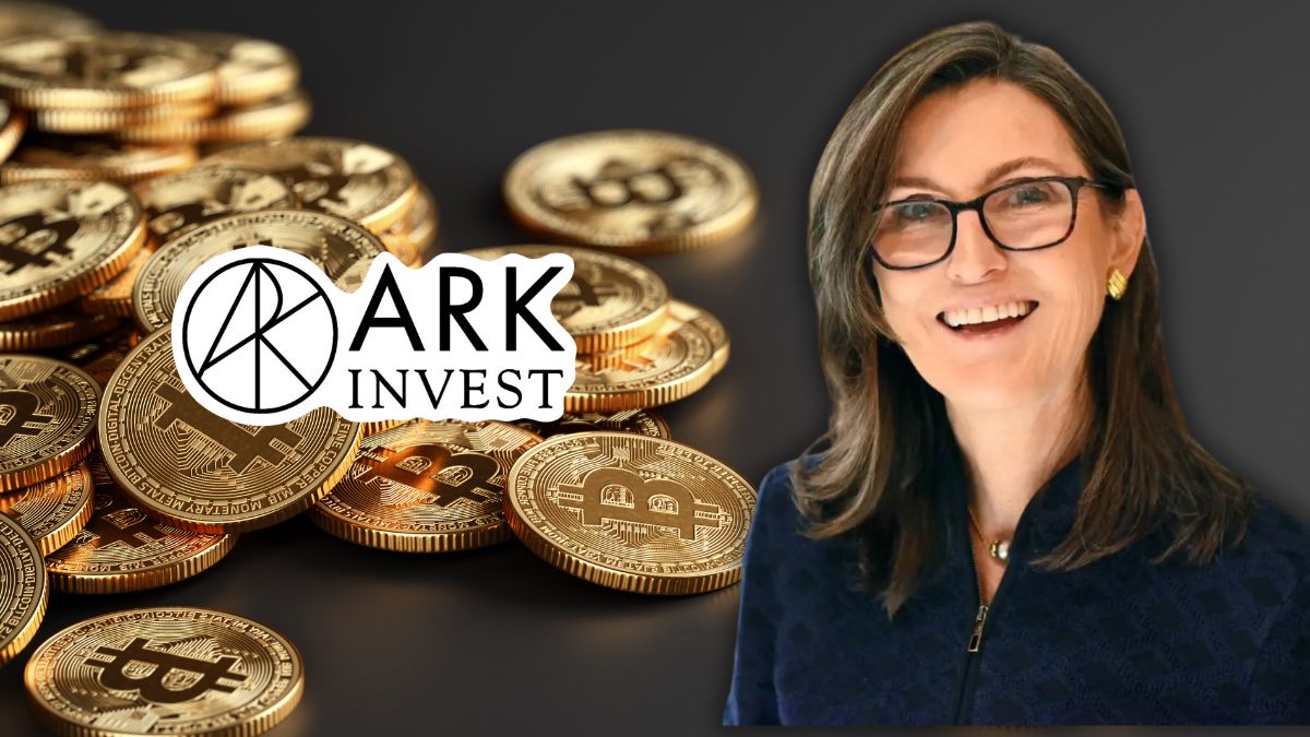 ark invest CEO