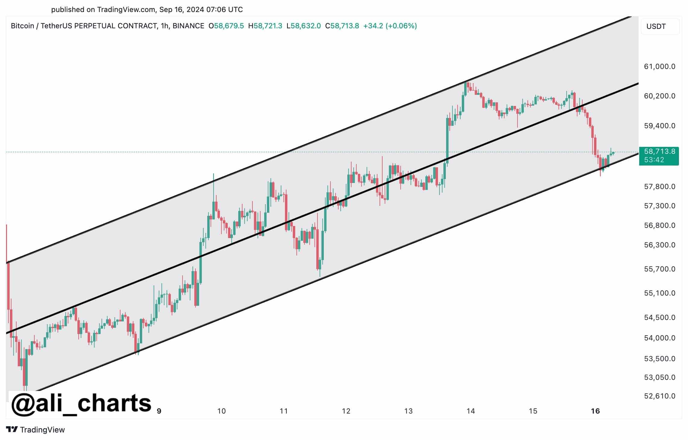 Gráfico del precio de btc.