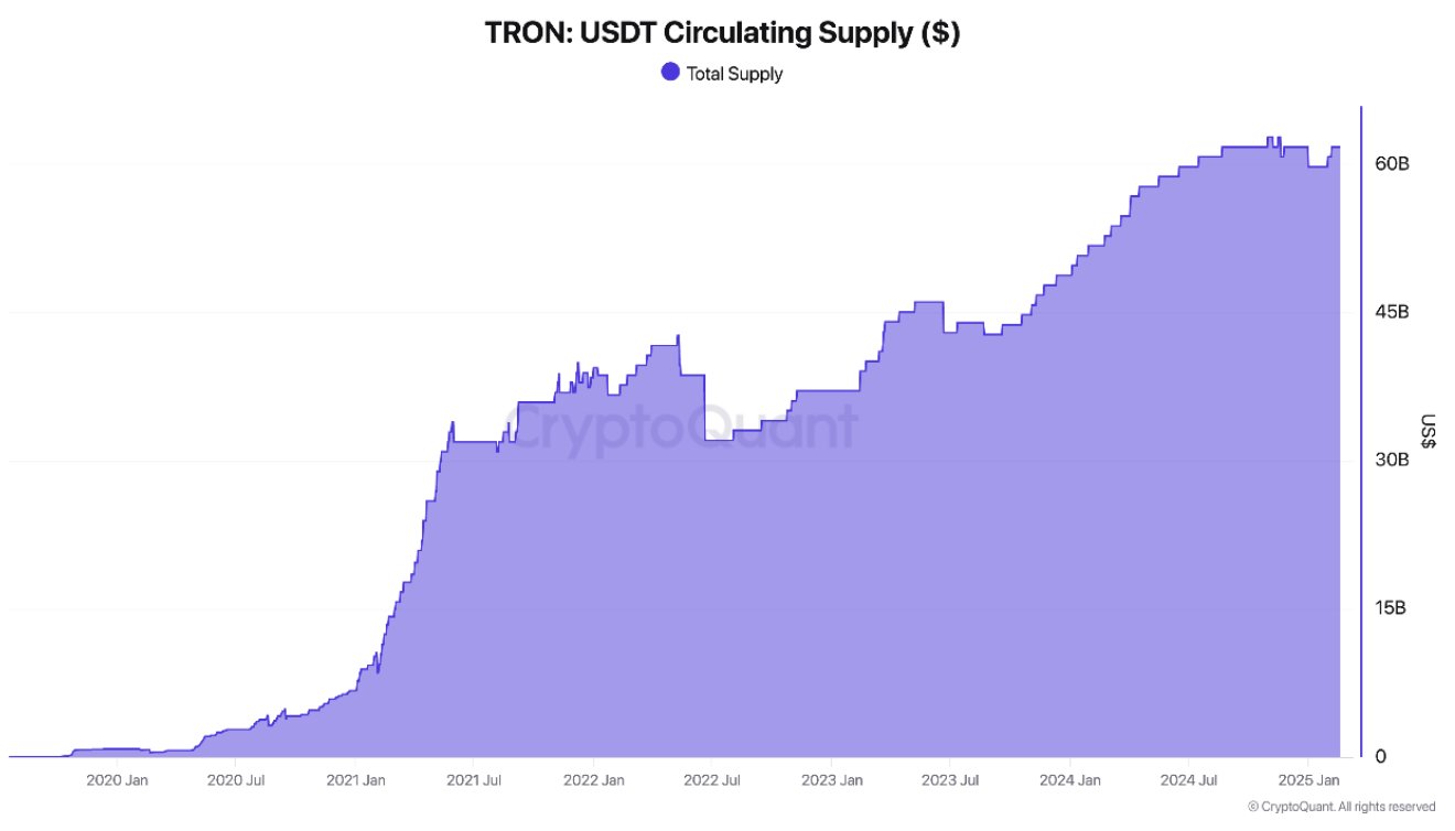 Este crecimiento en el suministro de USDT en Tron, que pasó de $6.7 mil millones en 2021 a la impresionante cifra de $62 mil millones en 2024, marca un hito en la adopción de stablecoins.