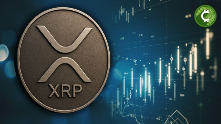 La proporción de holders de XRP cayó un 50% según informe de Bybit