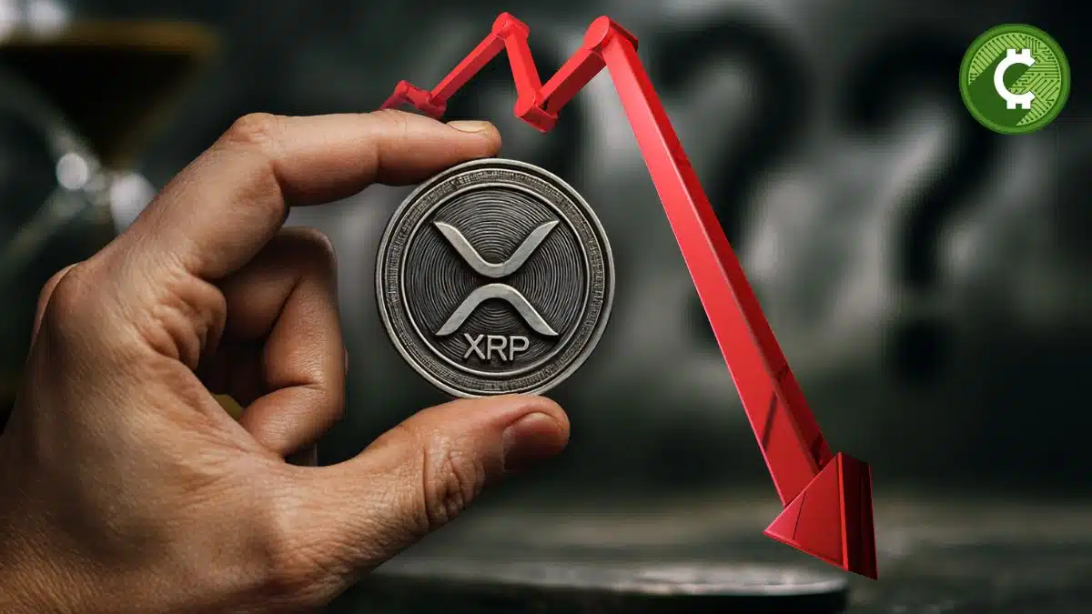 Descubre por qué XRP está cayendo: analizamos la caída de BTC, la liberación de 1.000 millones de Ripple y la actividad de grandes holders.