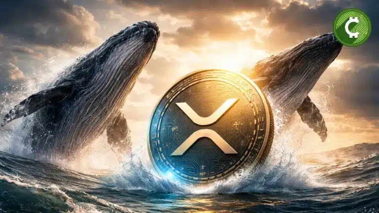 La actividad de ballenas de XRP repunta con fuerza mientras los flujos hacia Binance alcanzan máximos desde diciembre.