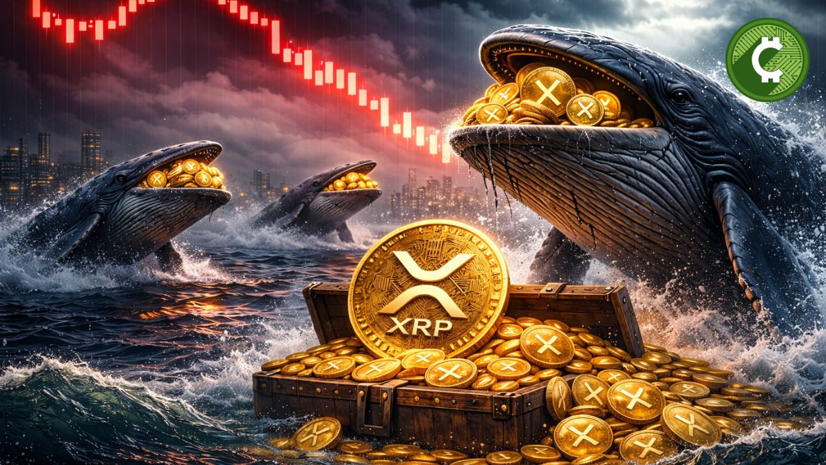 Las ballenas de XRP acumulan miles de millones de tokens mientras las pérdidas on-chain alcanzan niveles no vistos desde 2022.