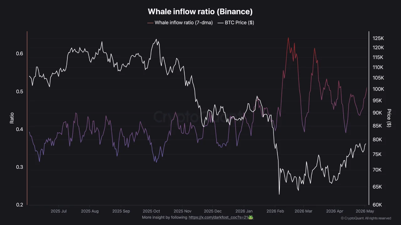Gráfico del Whale Inflow Ratio en Binance comparado con el precio de Bitcoin, mostrando el aumento de actividad de ballenas durante el repunte del mercado