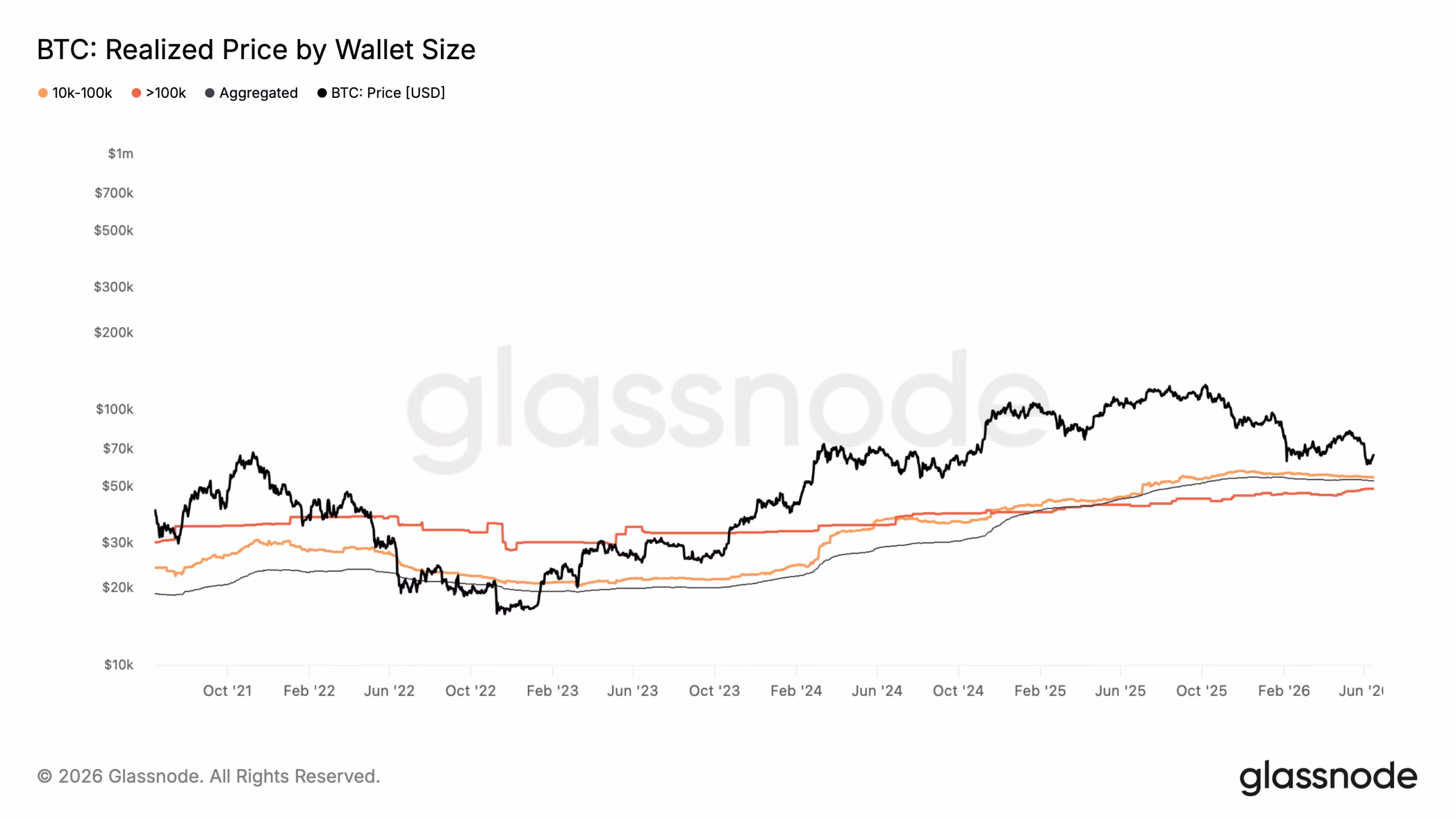 Gráfico que compara el precio realizado de Bitcoin por tamaño de cartera y muestra la base de costo de las ballenas y grandes inversores en la red.