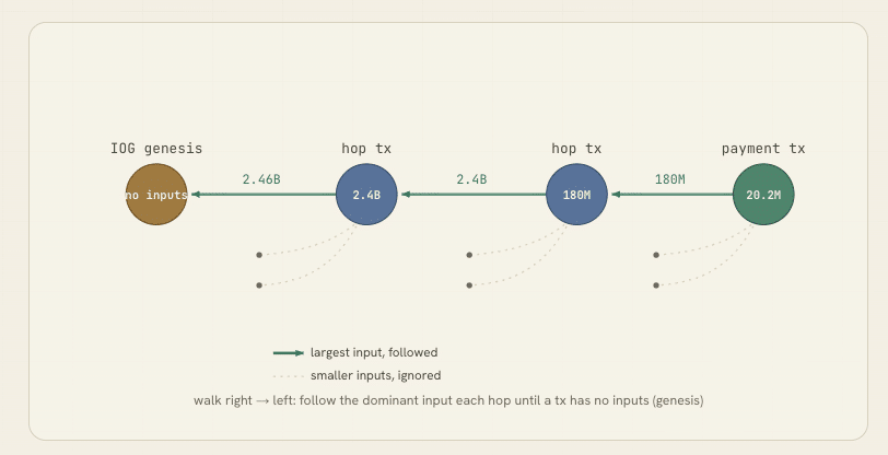 Visualización del flujo de transacciones utilizada para rastrear el origen histórico de grandes movimientos de ADA.