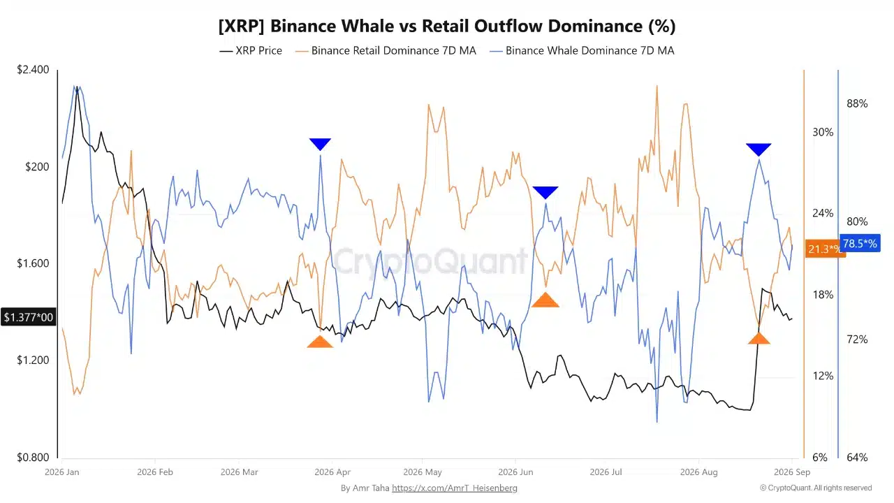 Gráfico de dominancia de ballenas y retail de XRP en Binance